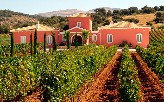 Tasación online finca rústica